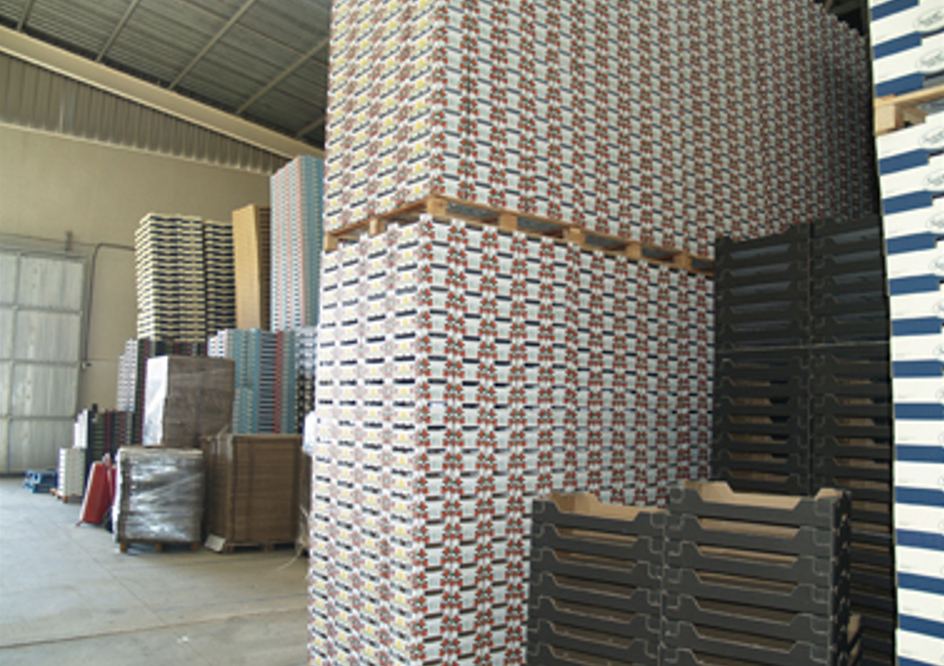 Empresa - Envases del Suroeste